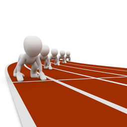 中小学体育健康教育课程开发与实践，中小学体育与健康课程指导纲要