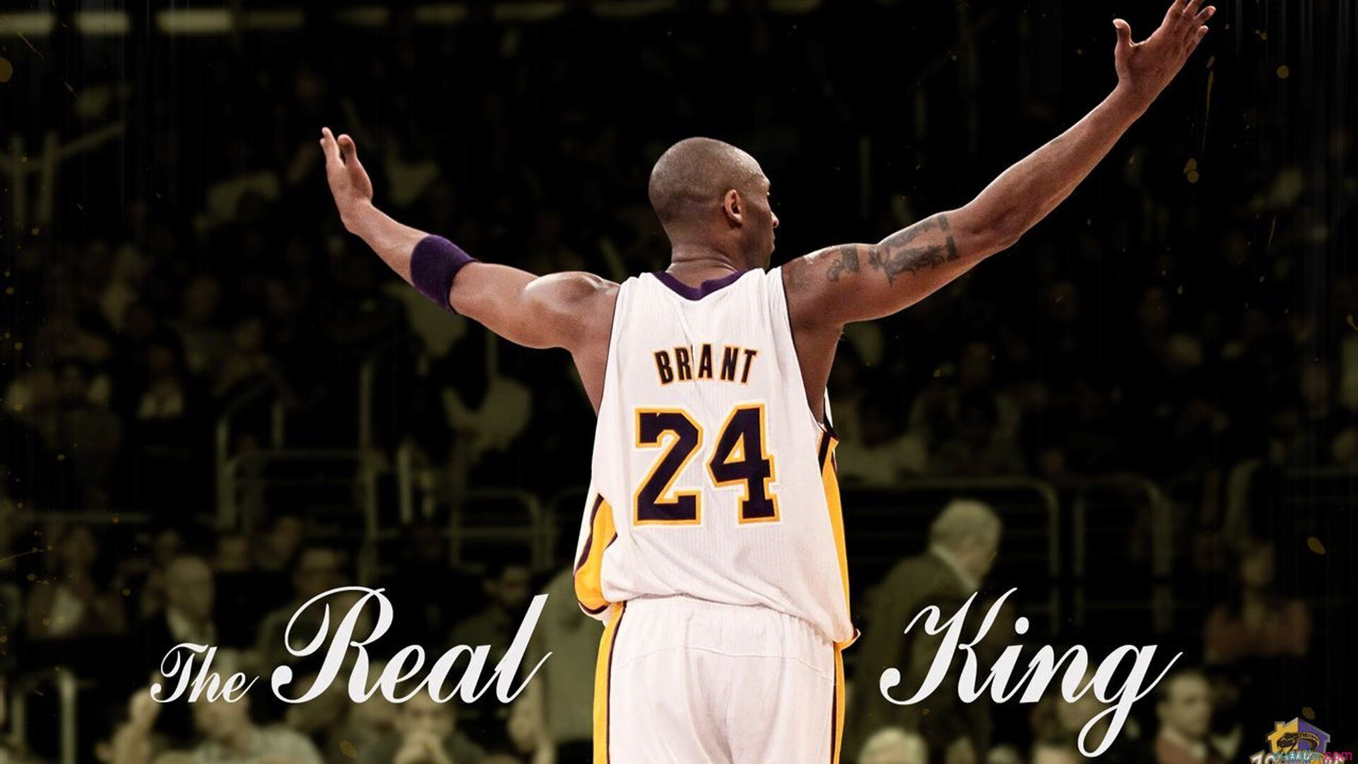 中小学体育健康教育课程开发与实践，中小学体育与健康课程指导纲要